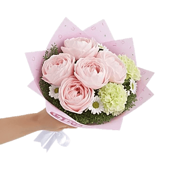 Peony Petal Harmony