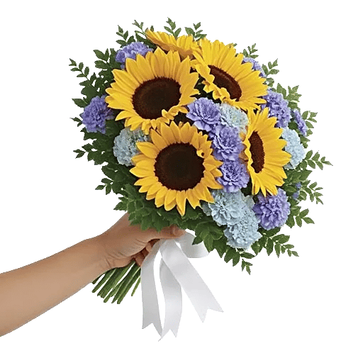 Twinkling Sunflower Dance