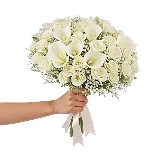 Elegant Calla Lilies