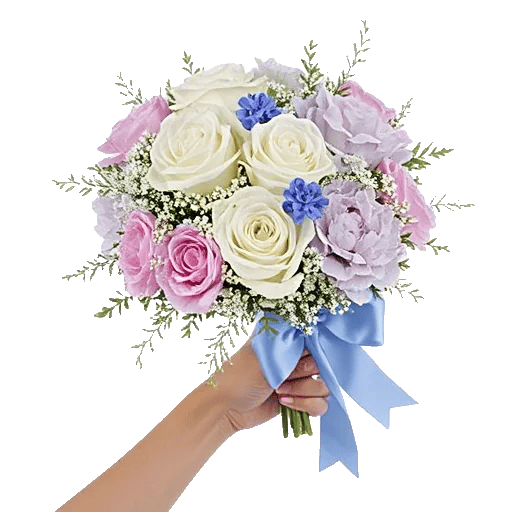 Serene Petal Harmony