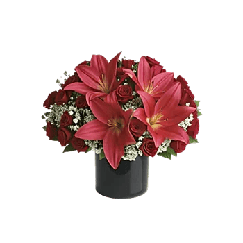 Crimson Lily Glow