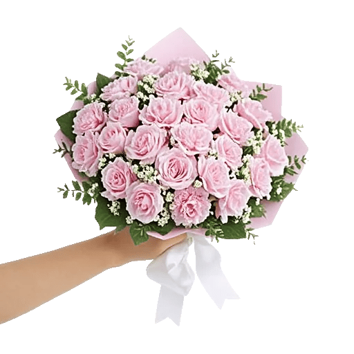 Pastel Pink Roses