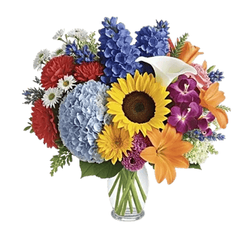 Radiant Bloom Cascade