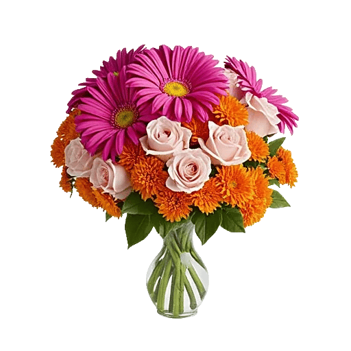 Petal Radiance Bliss