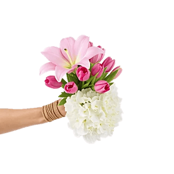 Blossom Harmony Display