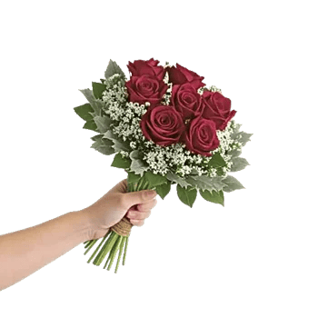 Crimson Rose Elegance