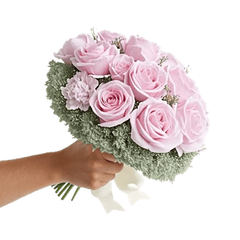 Pastel Pink Roses