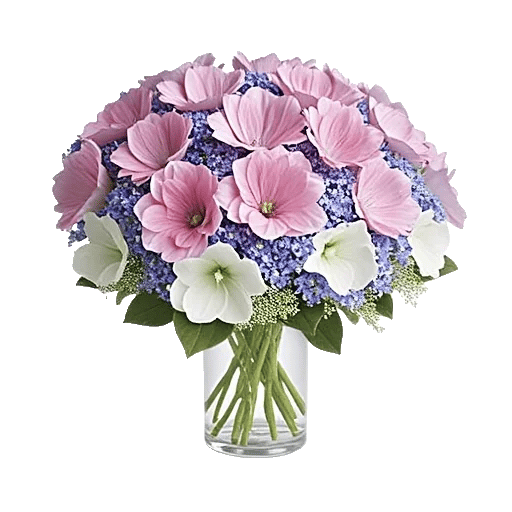 Petal Softness Display