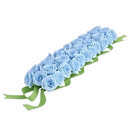 Elegant Blue Roses