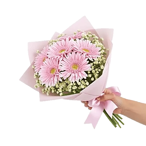 Blossom Petal Serenity