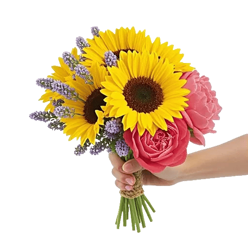 Twinkling Sunflower Dance
