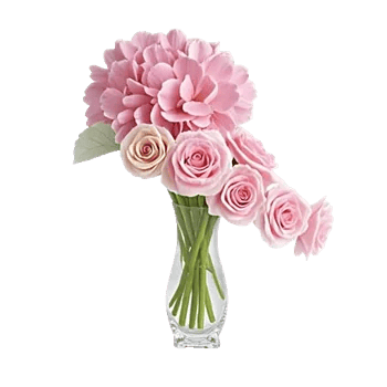 Ivory Blossom Radiance