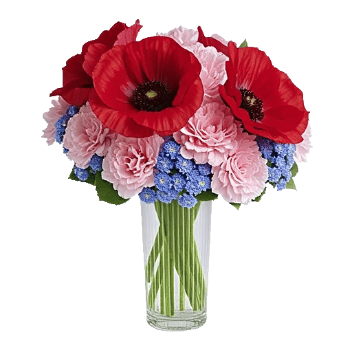 Petal Radiance Bliss