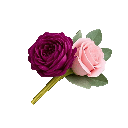 Delicate Petal Cascade