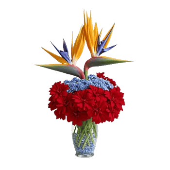 Petal Radiance Bliss