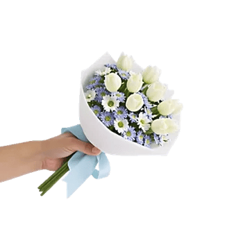 Blossom Petal Serenity