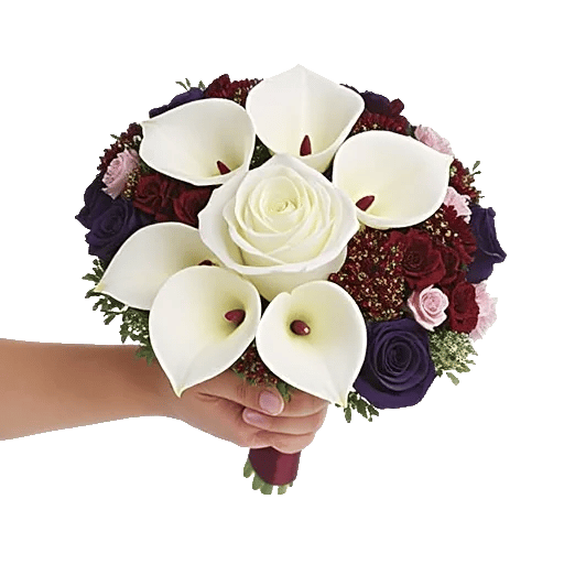 Elegant Calla Lilies
