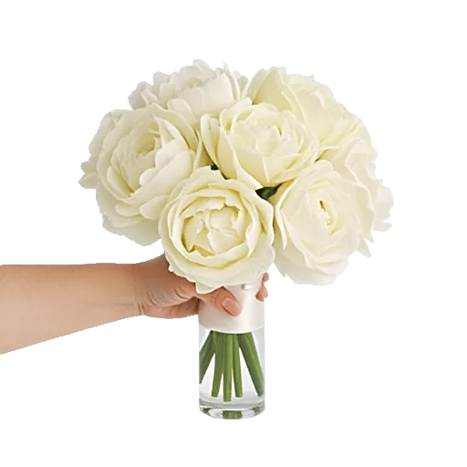 Peony Petal Harmony