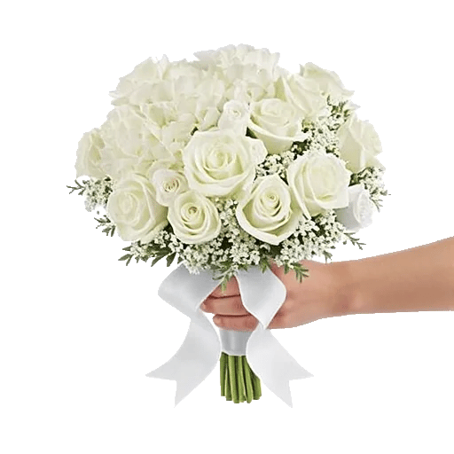 Serene Petal Harmony