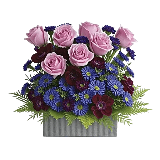 Ivory Blossom Radiance