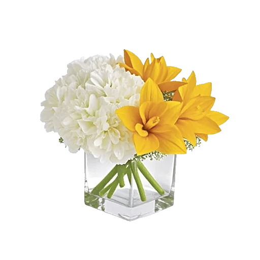 Delicate Petal Cascade