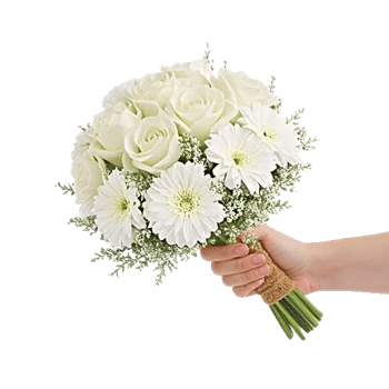 Delicate Petal Cascade