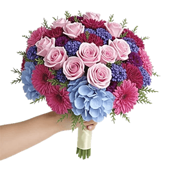 Pastel Pink Roses