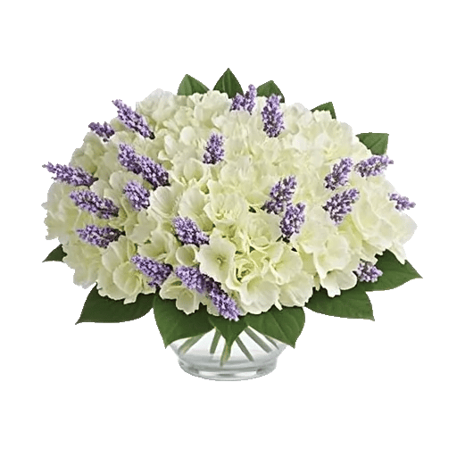 Serene Petal Harmony