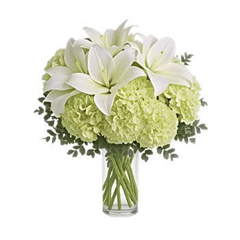 Ivory Blossom Radiance