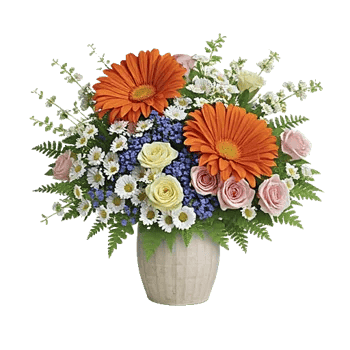 Enchanting Daisy Garden