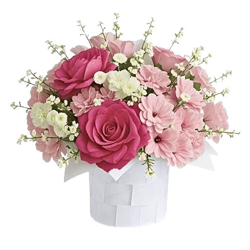 Petal Radiance Bliss