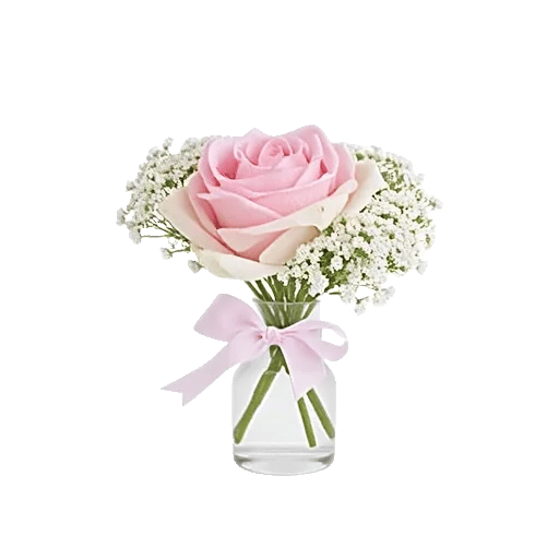 Blossom Radiant Whisper