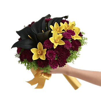 Elegant Calla Lilies