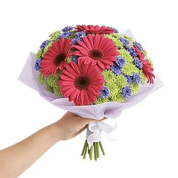 Coral Blossom Harmony