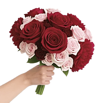 Crimson Rose Elegance