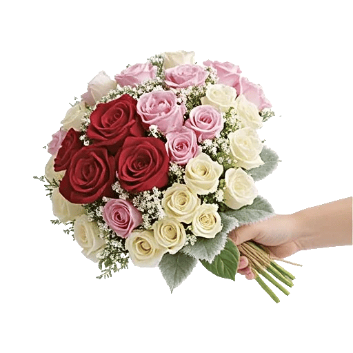 Crimson Rose Elegance