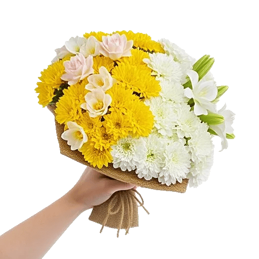 Blossom Harmony Display