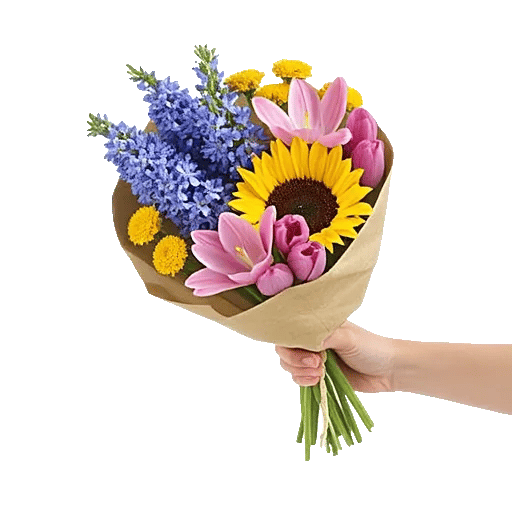 Blossom Petal Serenity