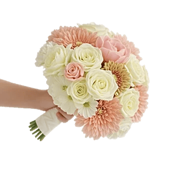 Delicate Petal Cascade