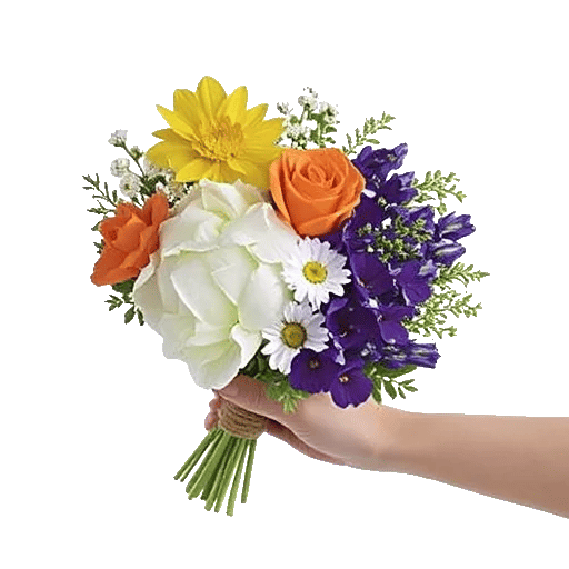 Blossom Harmony Display