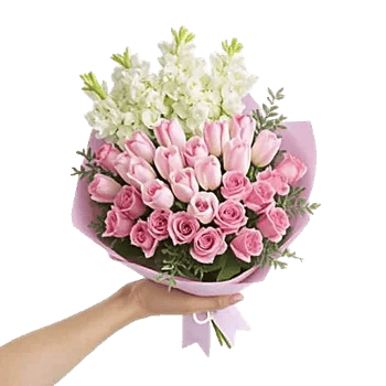 Blossom Harmony Display