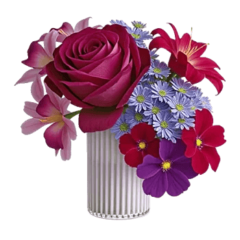 Radiant Rose Symphony