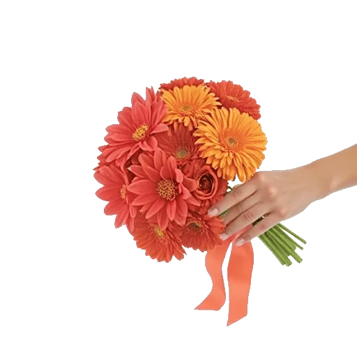 Coral Blossom Harmony