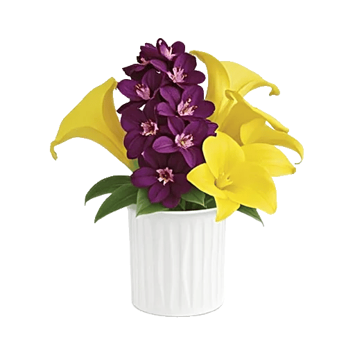 Modern White Orchids