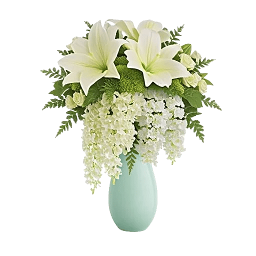 Ivory Blossom Radiance