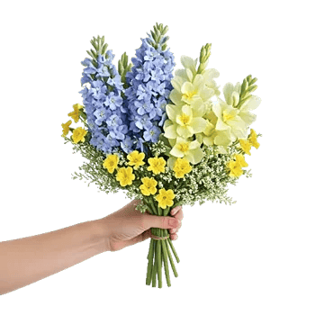 Blossom Petal Serenity