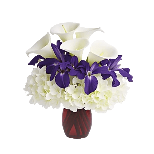 Elegant Calla Lilies