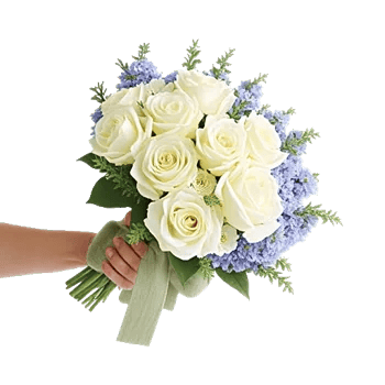 Ivory Blossom Radiance