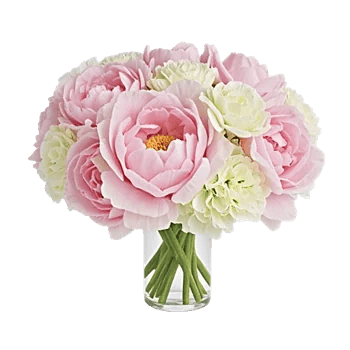 Ivory Blossom Radiance