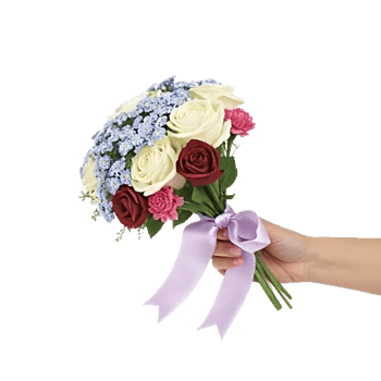 Blossom Petal Serenity